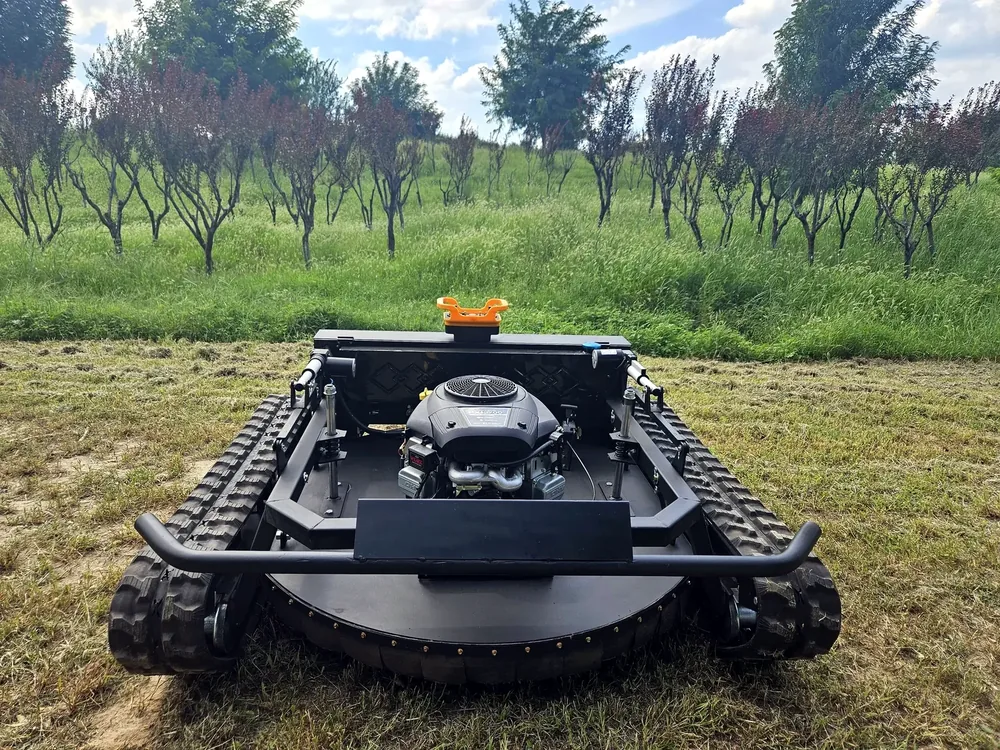 Tracked mower photographed among orchard rows